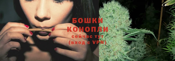 гашик Покровск