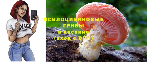 мдпв Абдулино