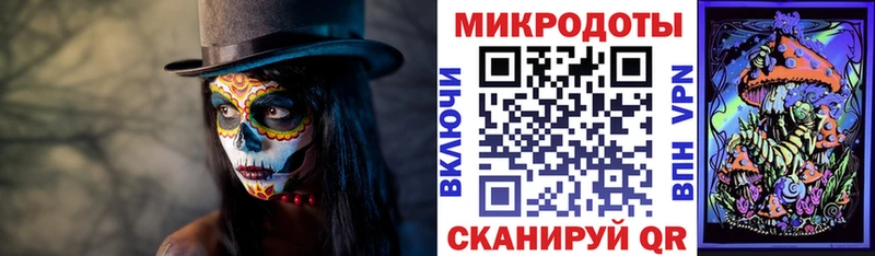 Псилоцибиновые грибы Psilocybe  где купить наркотик  Адыгейск 